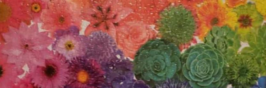 MaurerHalen's profile banner image