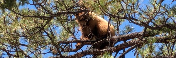 TomSouther1 Profile Banner