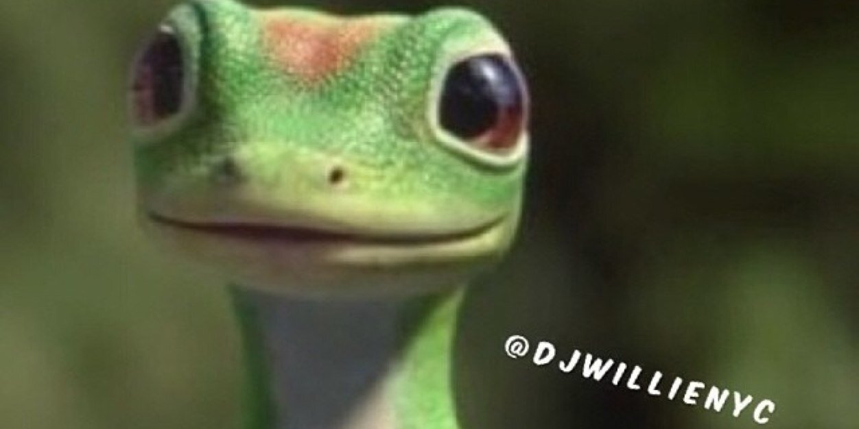AndrewAlbright8's profile banner image