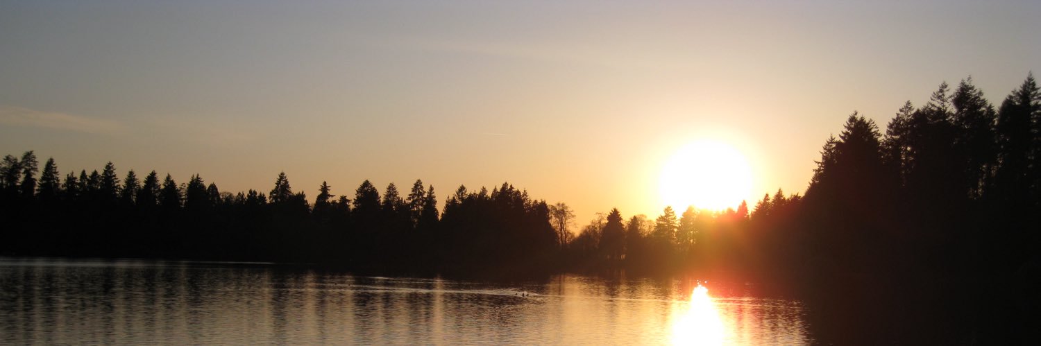 happyscandi's profile banner image