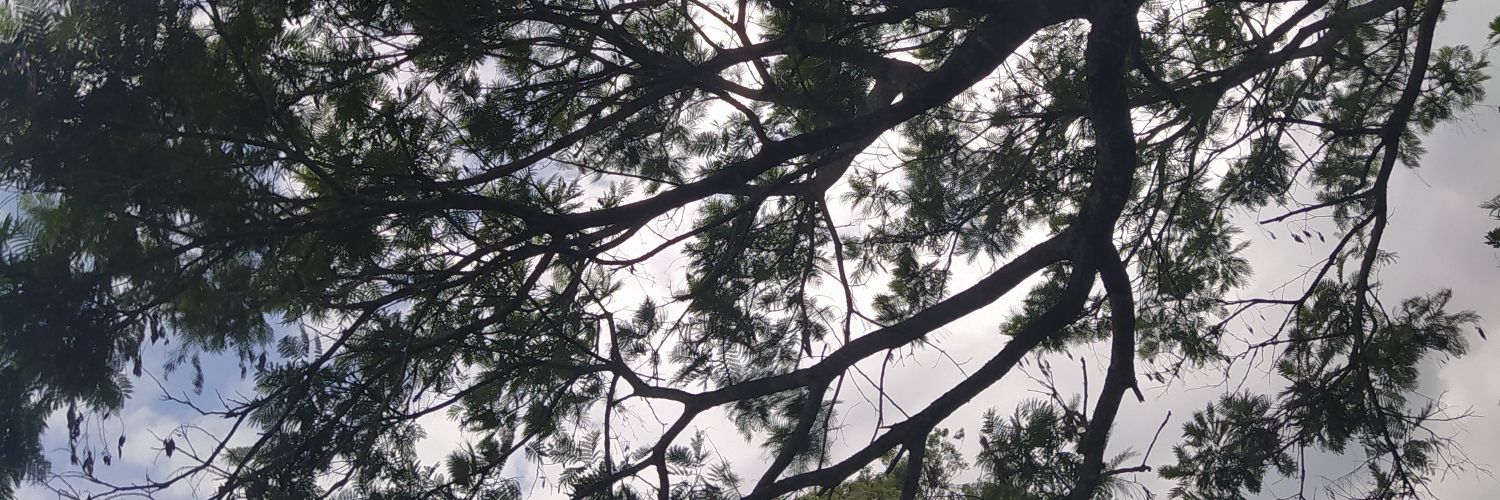 Sabrinagiluk's profile banner image