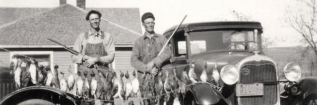 Fieldfork's profile banner image