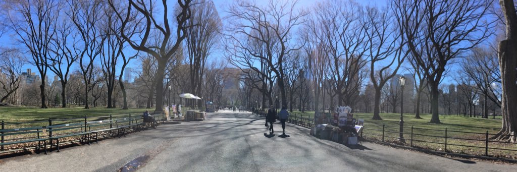 audreyGLN's profile banner image