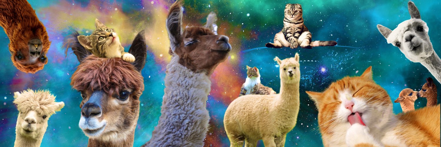 ms_ill_pix's profile banner image