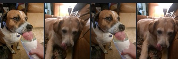 animebookchic Profile Banner