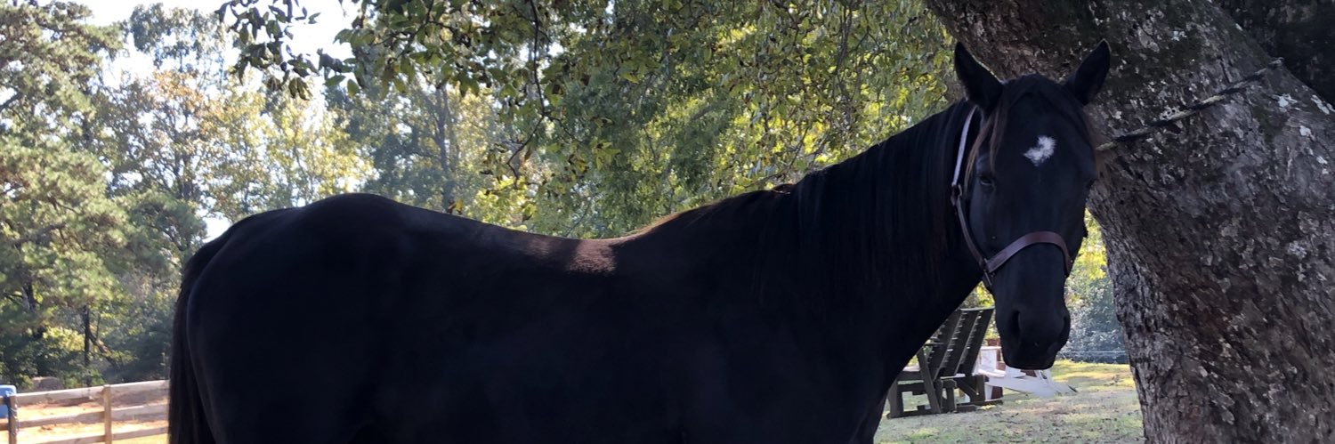 CheyePutman's profile banner image