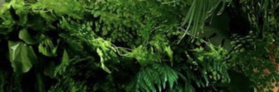 chloeeleanor44's profile banner image