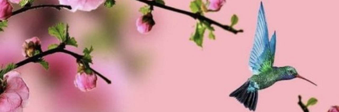 THelsten's profile banner image