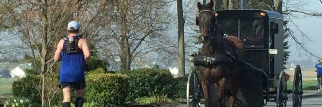 Witty_Runner's profile banner image
