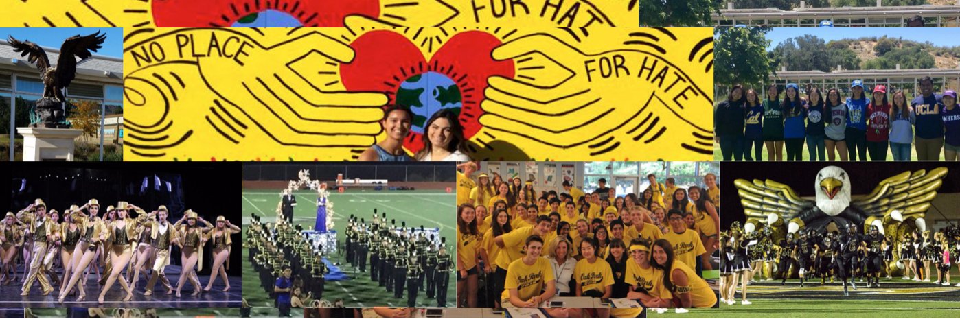 Oak Park High School banner