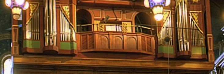 DNAStory's profile banner image
