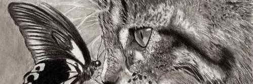 _javitaspain_'s profile banner image