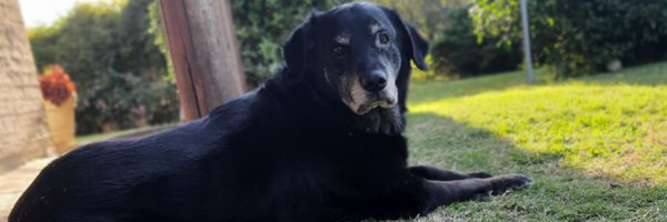 PuchiGarcia33 Profile Banner