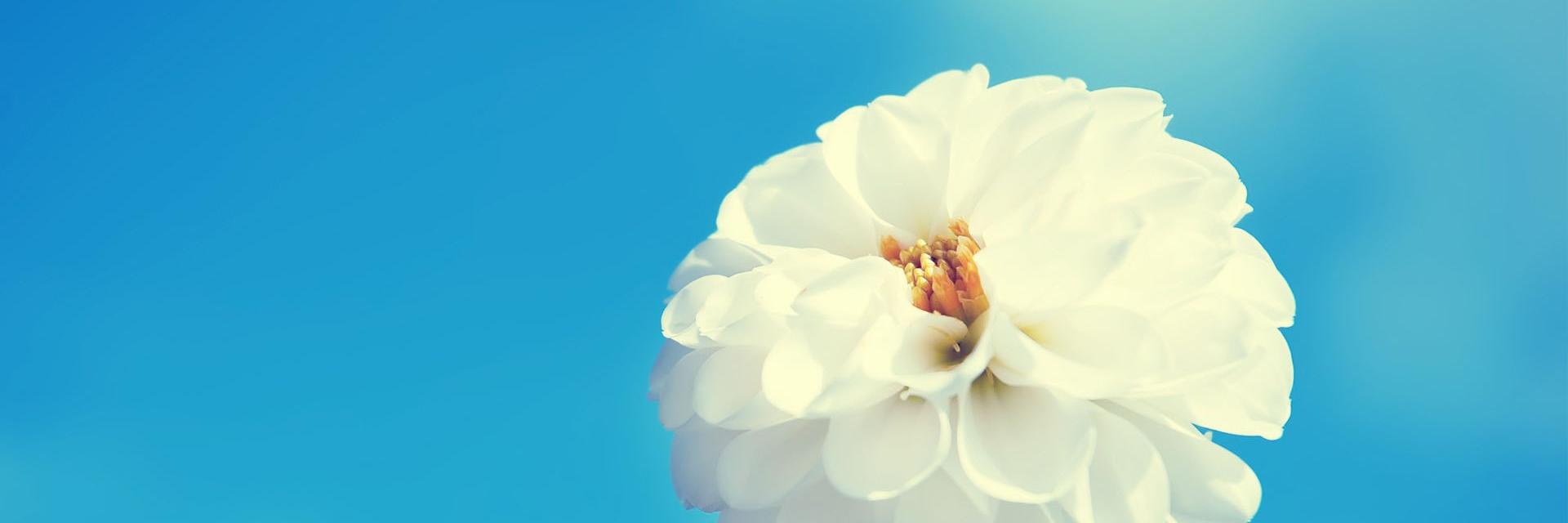 _aspeera_'s profile banner image