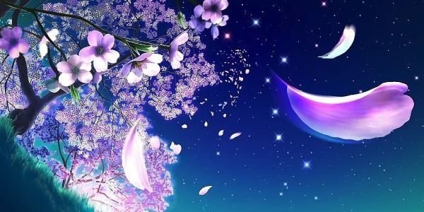 rikei0726's profile banner image