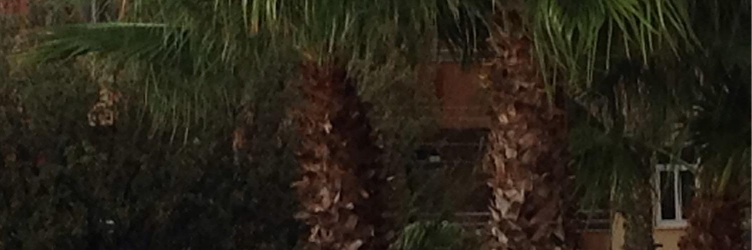 Damla_GsBY's profile banner image