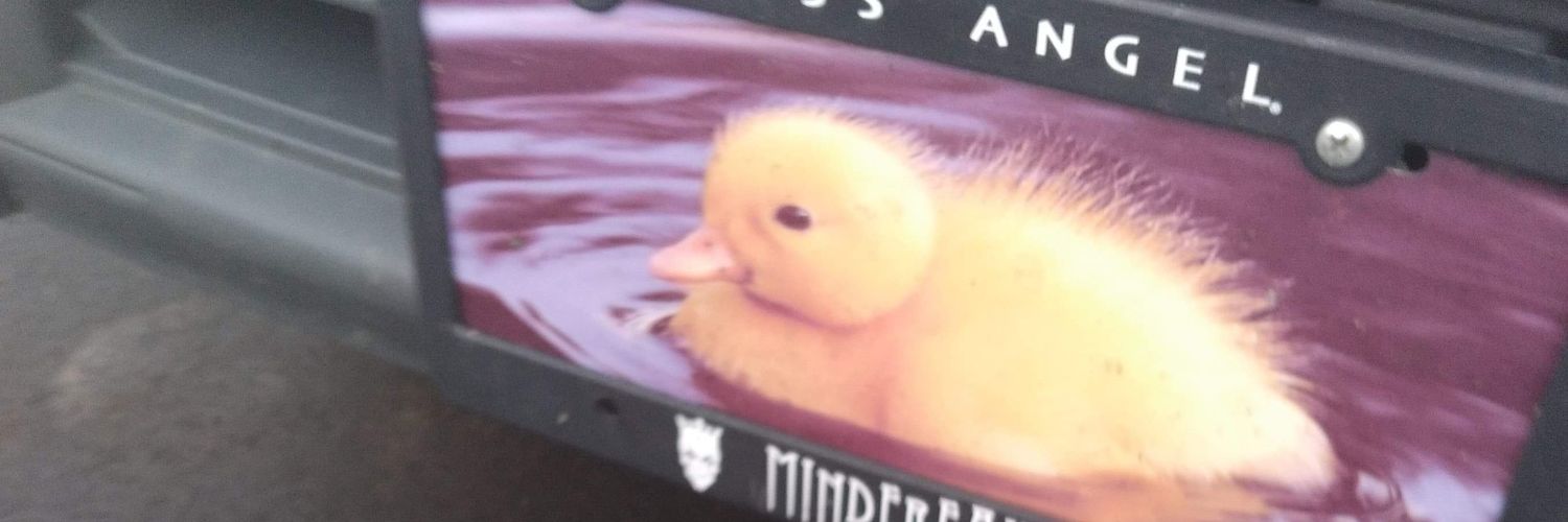 WilliamHIsCool's profile banner image