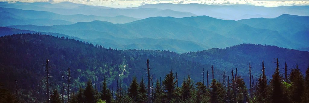 sesmith84's profile banner image