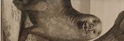 Polojasno🌤️ banner