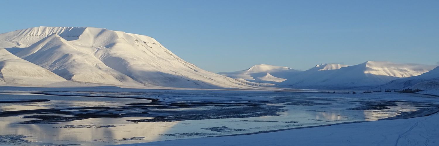 Daan van den Broek banner