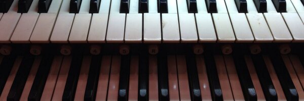 HollyMFarrow Profile Banner