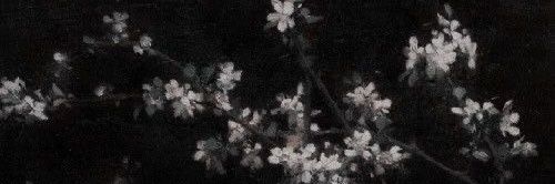 . banner