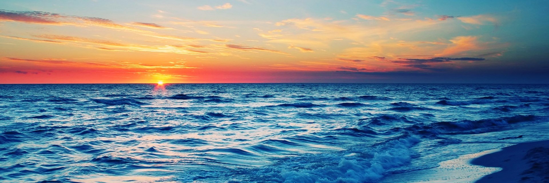 mdnxt's profile banner image