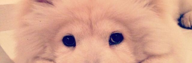 chenerorhan's profile banner image