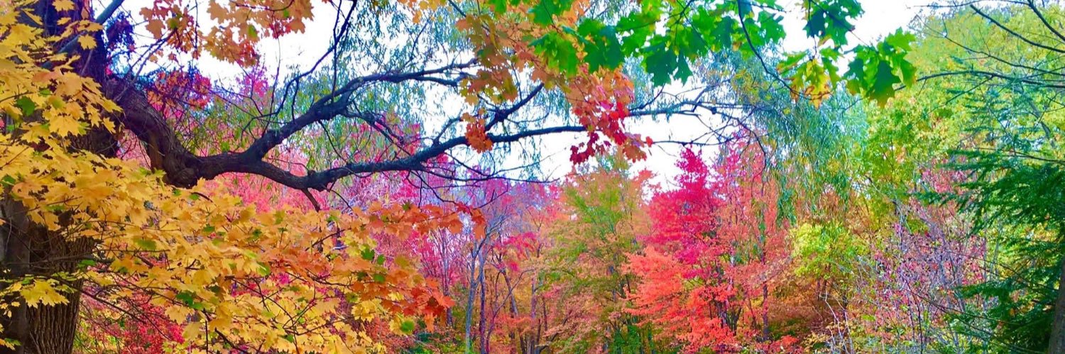 Priscilla Johnson banner