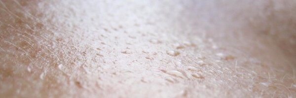 LBagazgoitia Profile Banner