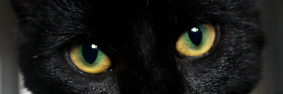 elirya92's profile banner image