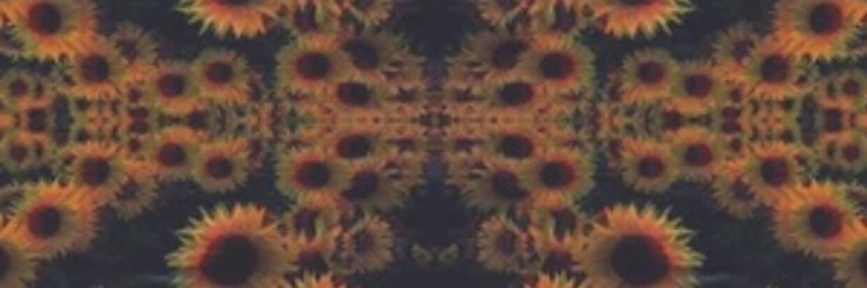 Rayychiell's profile banner image