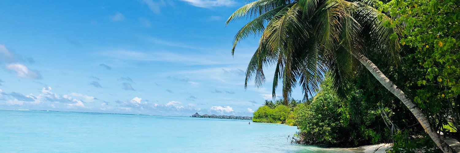 JOURNALISTE1's profile banner image