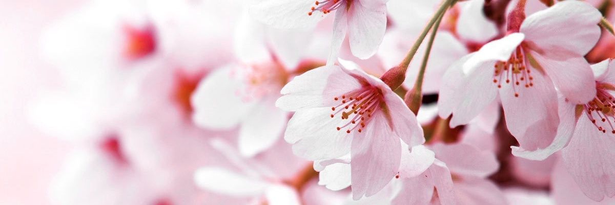 ilham_ait's profile banner image