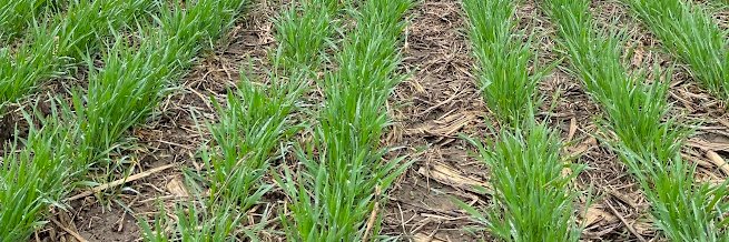 Better Farming | It's Farming. And It's Better. banner