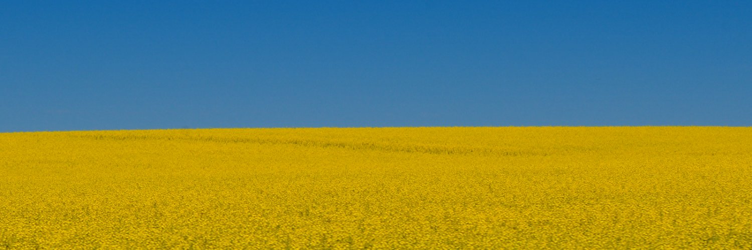 Lars Krogmann banner