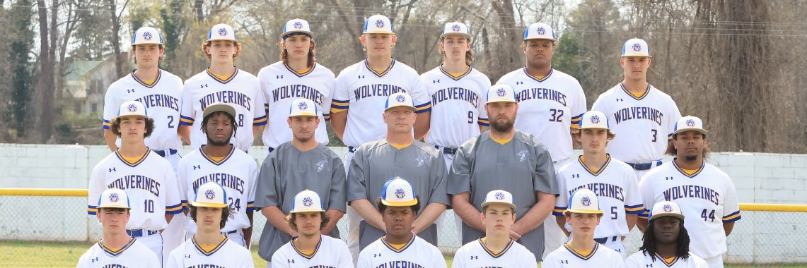 Whitmire Baseball ⚾️ banner