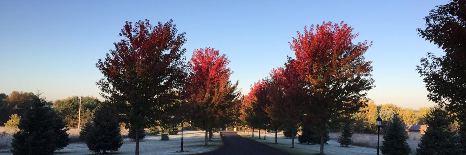Hawkinson_J's profile banner image