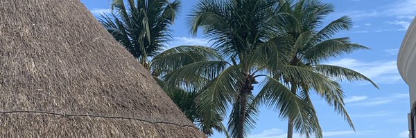 alisson_de_lima Profile Banner