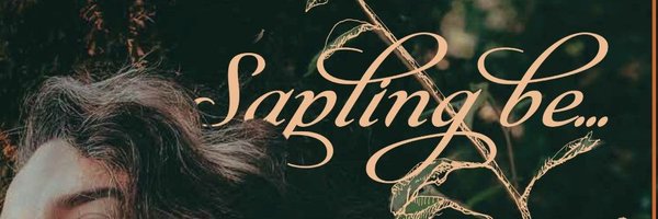 polly_barrett Profile Banner