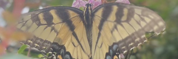 NatalieRGrace Profile Banner