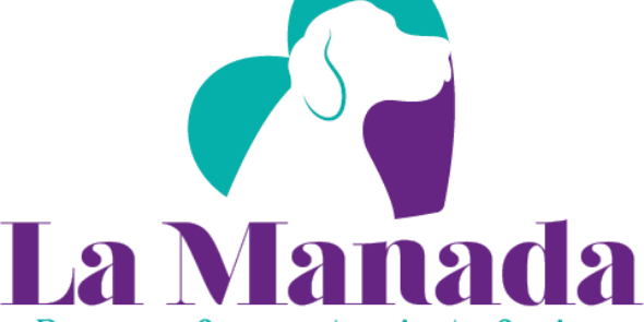 lamanadaccs's profile banner image