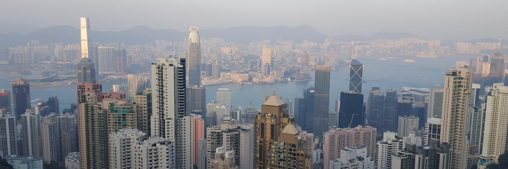 Lennifer Wu 🐀🍉 banner