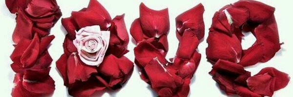 huosenn Profile Banner