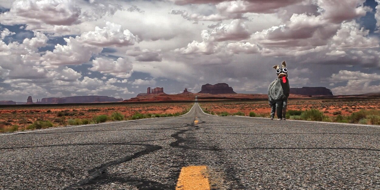 HoovesFilm's profile banner image