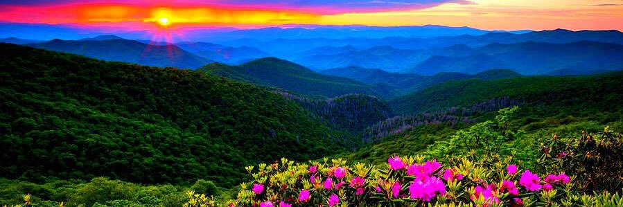 M Azhar Siddique banner