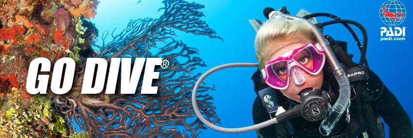 paradisedives's profile banner image