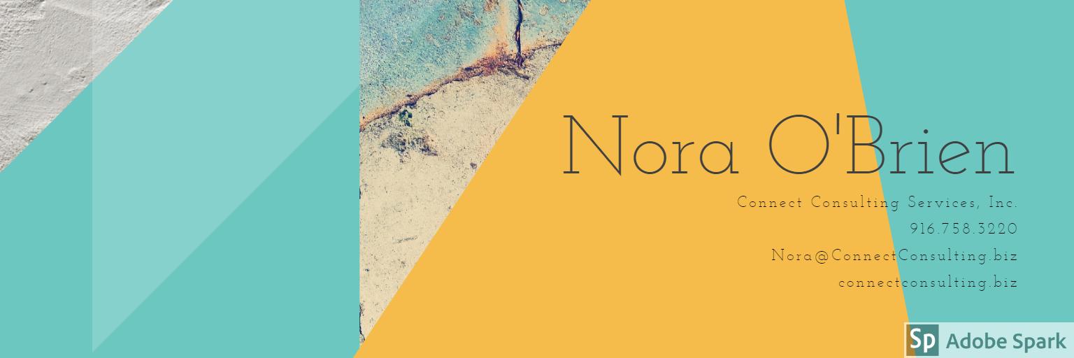 NoraConnect's profile banner image