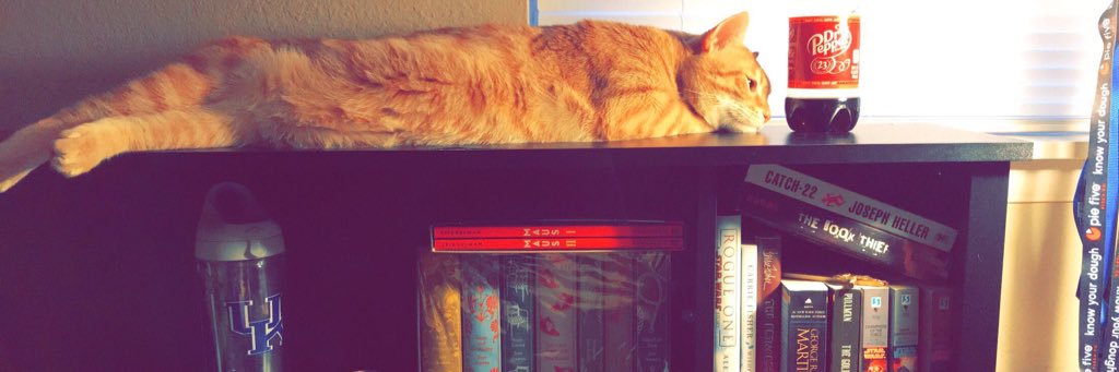 MadisonKeeney's profile banner image