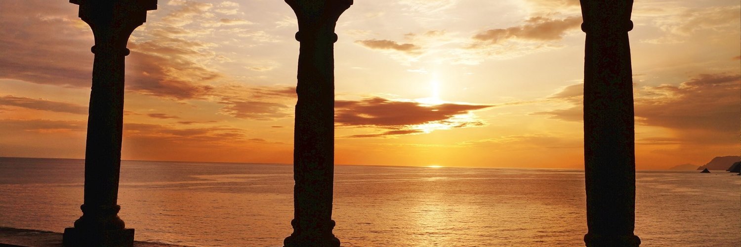 preciouslocks's profile banner image